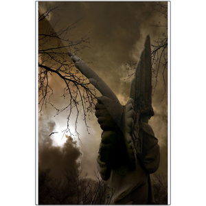 "Wings On Angle" Metal Print