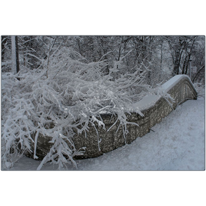 "Frozen Bridge" Metal Print