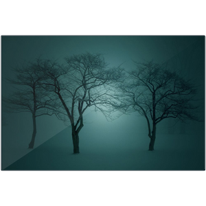 "Three Trees" Metal Print